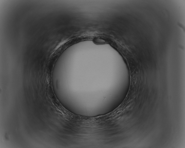 X0000097611206200802290748
