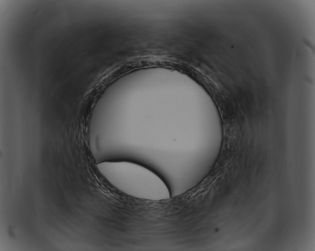 X0000097611207200802290748