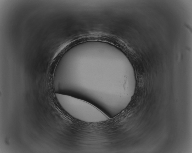 X0000097611208200802290748