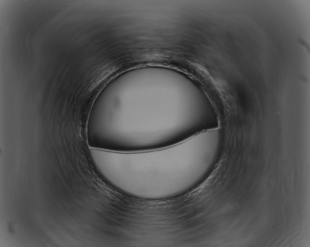 X0000097611209200802290748