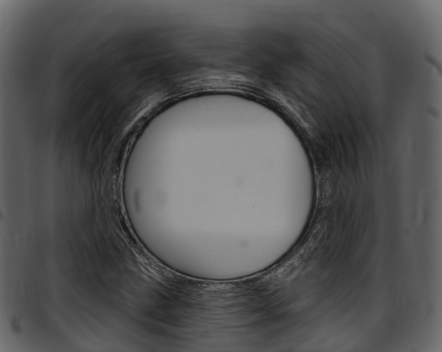 X0000097611211200802290748