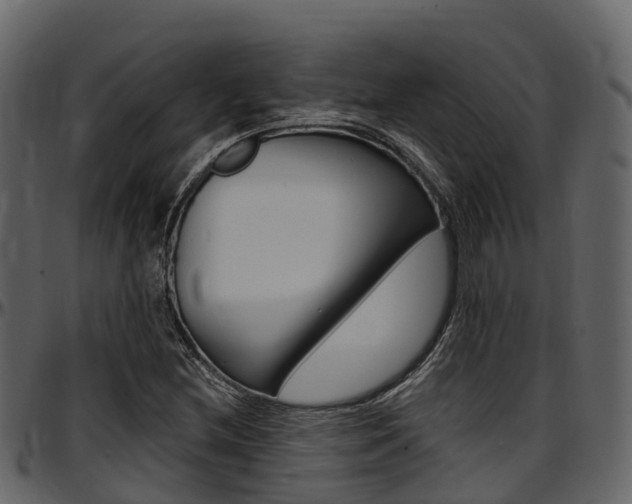 X0000097611212200802290748