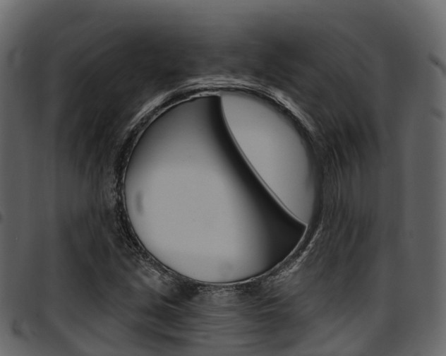 X0000097611213200802290748