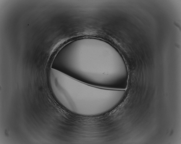 X0000097611214200802290748