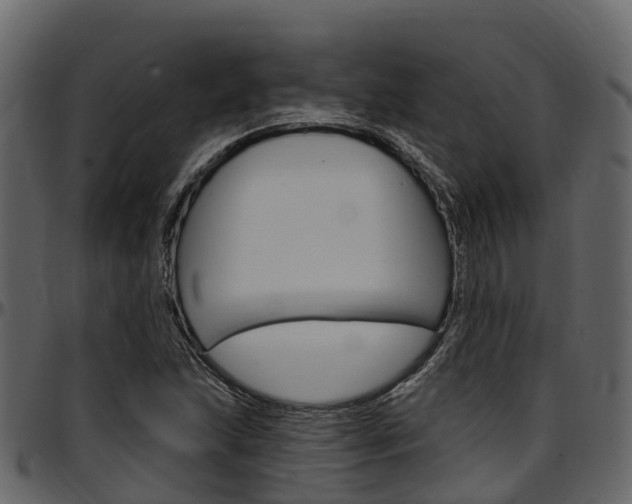 X0000097611215200802290748