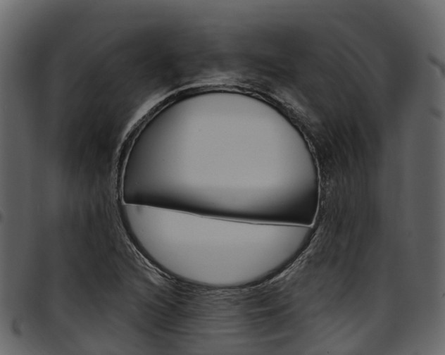 X0000097611216200802290748