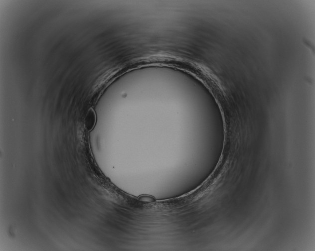 X0000097611217200802290748