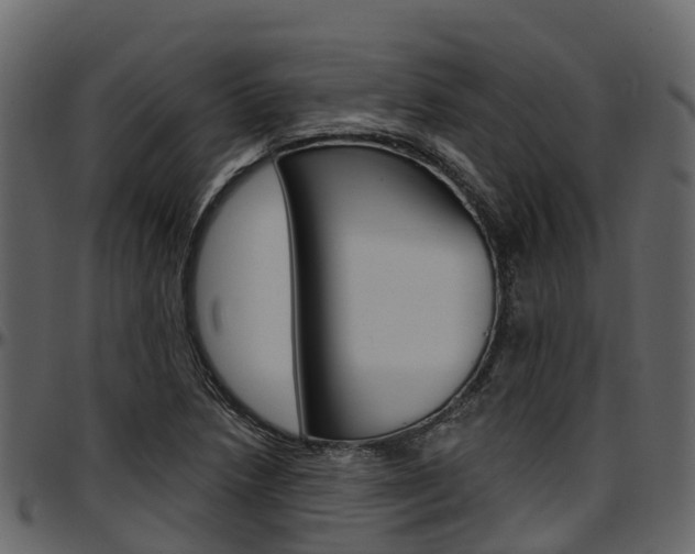 X0000097611218200802290748