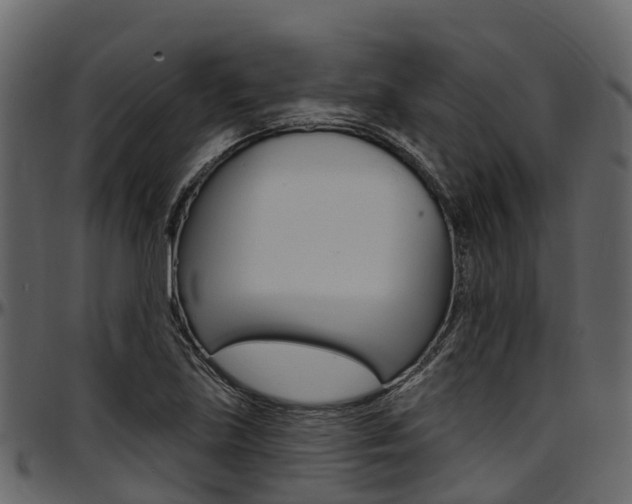X0000097611219200802290748