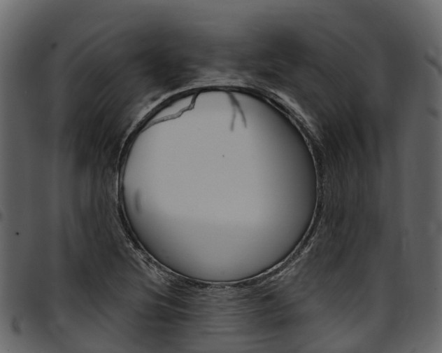 X0000097611220200802290748