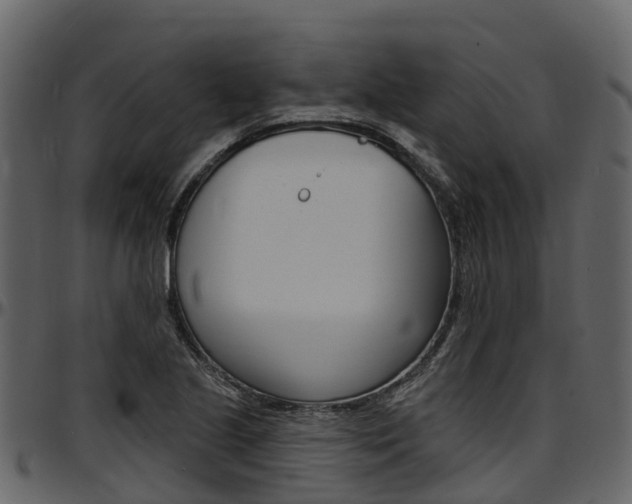 X0000097611221200802290748