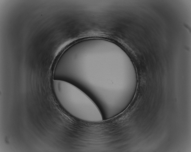X0000097611222200802290748