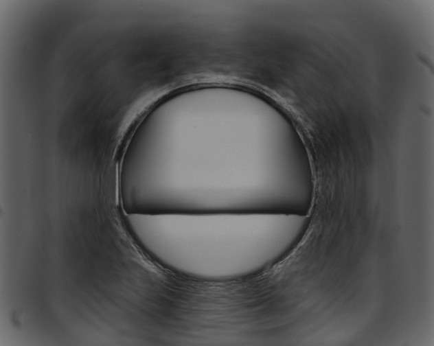 X0000097611223200802290748