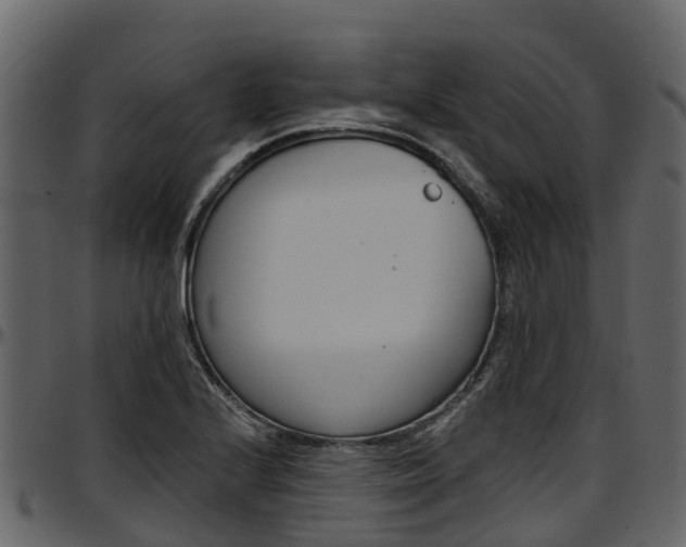 X0000097611224200802290748