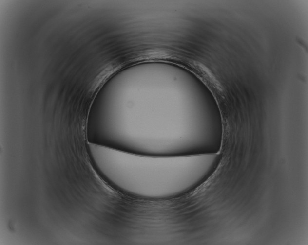 X0000097611225200802290748