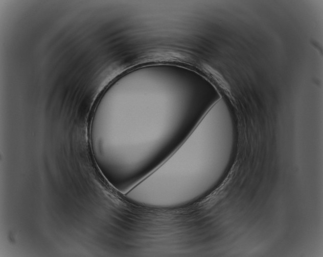 X0000097611226200802290748