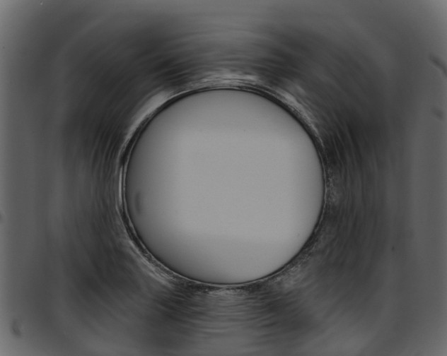 X0000097611227200802290748