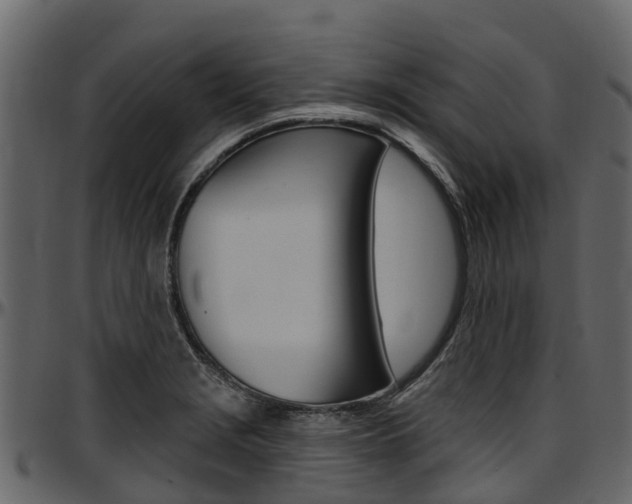 X0000097611229200802290748