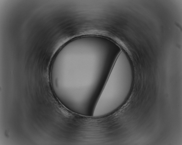 X0000097611230200802290748