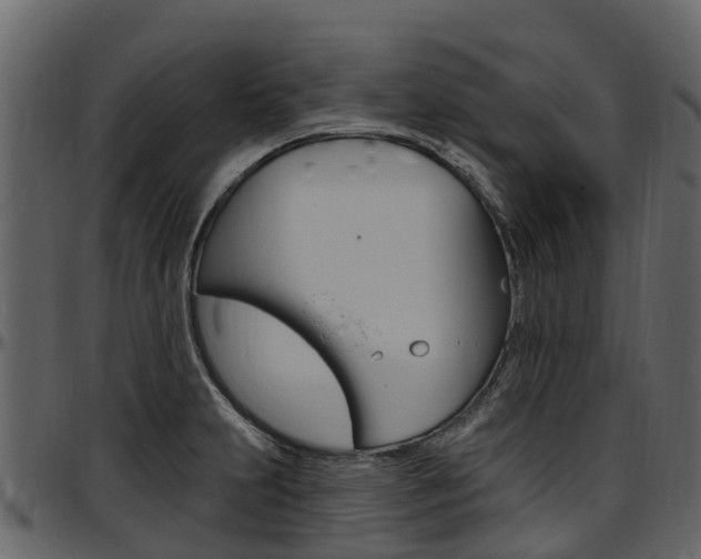 X0000097611231200802290748