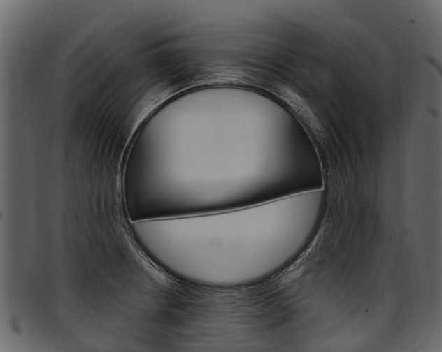 X0000097611234200802290748
