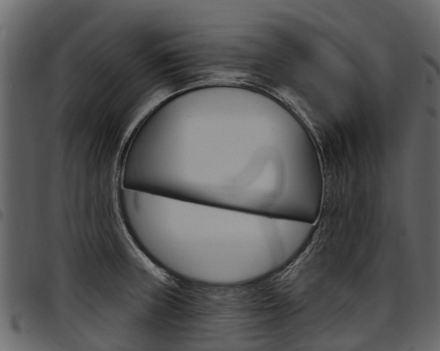 X0000097611235200802290748