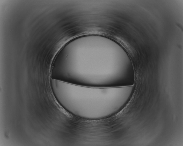 X0000097611236200802290748