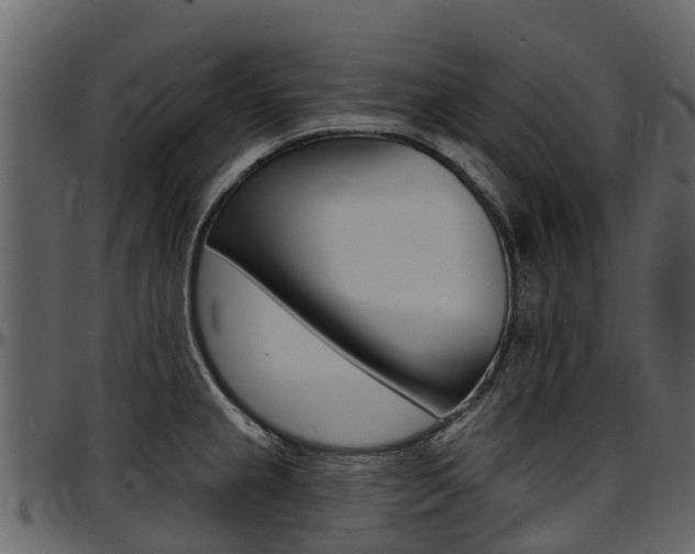X0000097611237200802290748