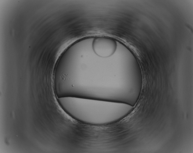 X0000097611239200802290748