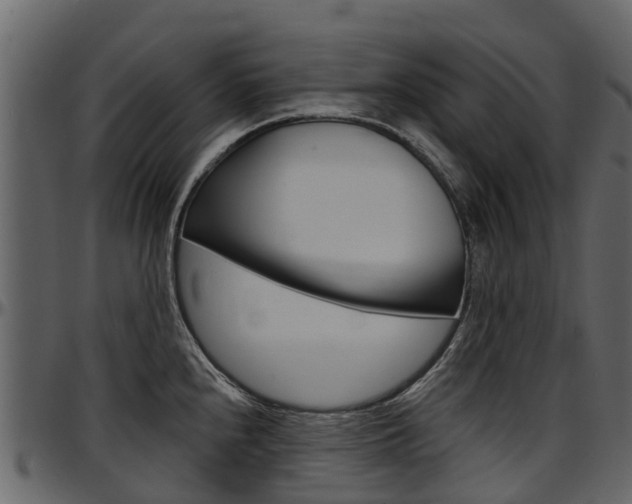 X0000097611240200802290748