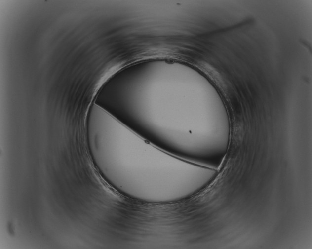 X0000097611242200802290748