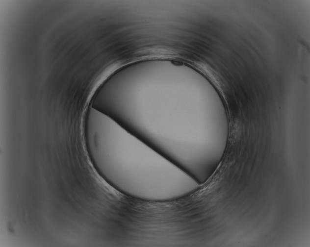 X0000097611243200802290748