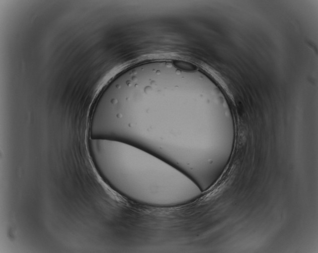 X0000097611245200802290748
