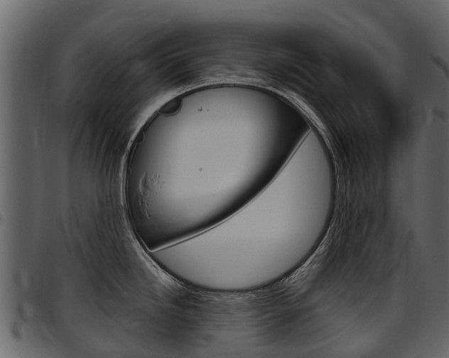 X0000097611246200802290748