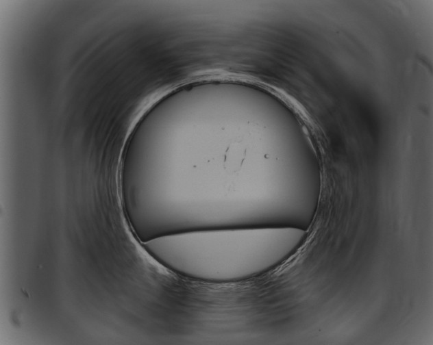 X0000097611247200802290748