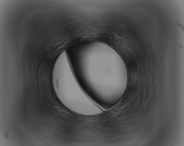 X0000097611250200802290747
