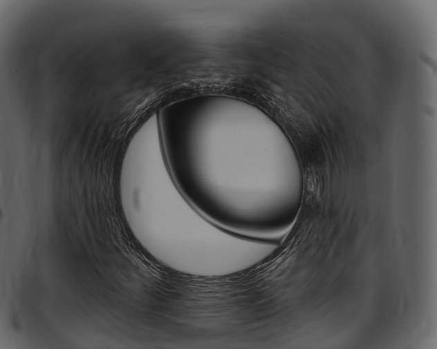X0000097611252200802290747
