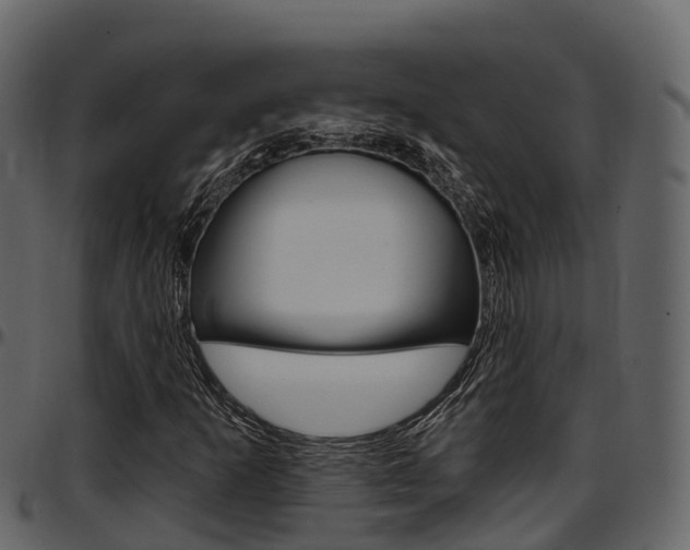 X0000097611253200802290747