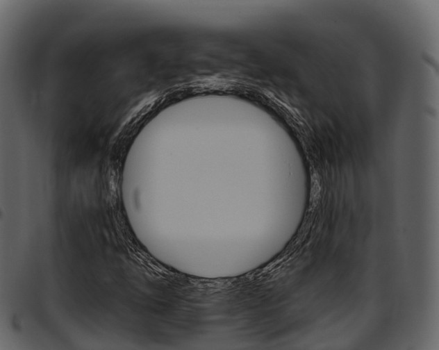 X0000097611254200802290747