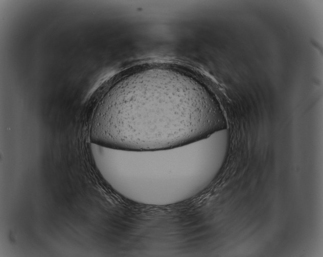 X0000097611255200802290747