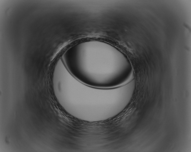 X0000097611256200802290747