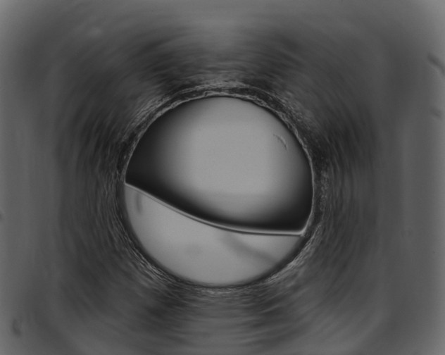 X0000097611257200802290747