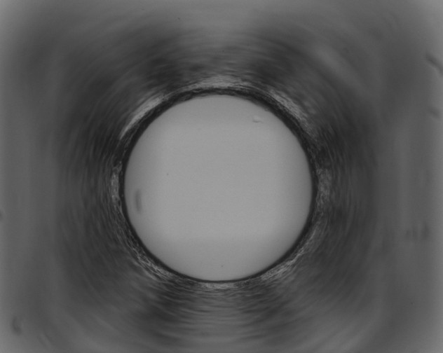 X0000097611258200802290747