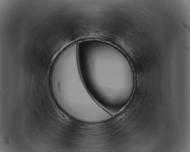 X0000097611260200802290747