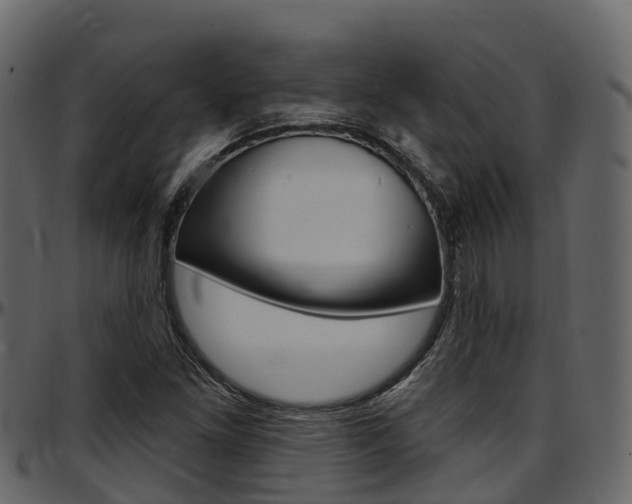 X0000097611261200802290747