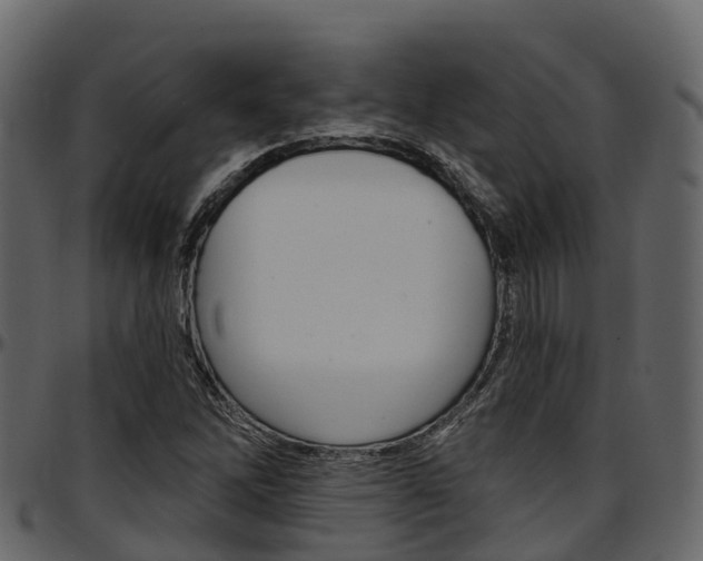 X0000097611262200802290747