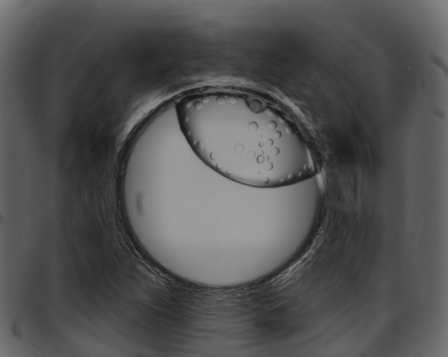 X0000097611263200802290747