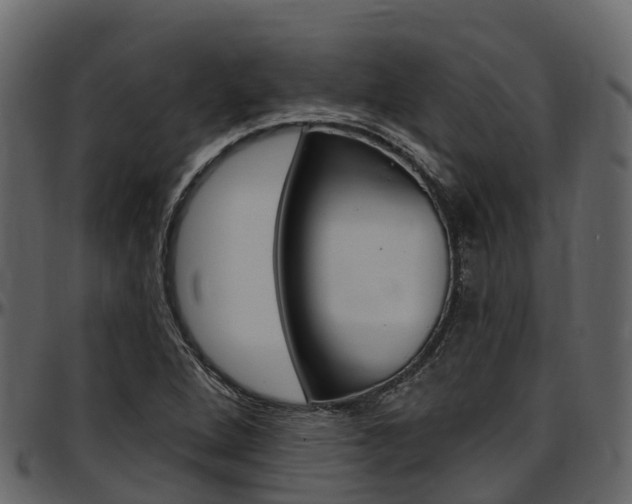X0000097611264200802290747
