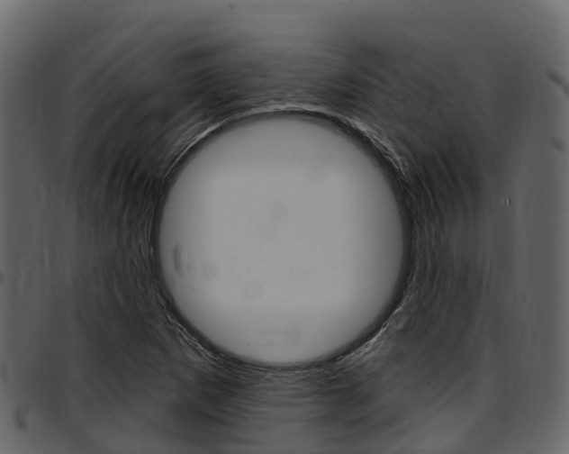 X0000097611265200802290747