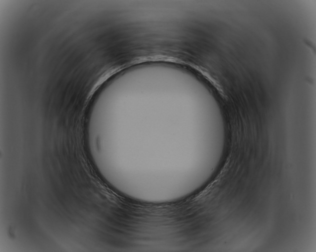 X0000097611266200802290747